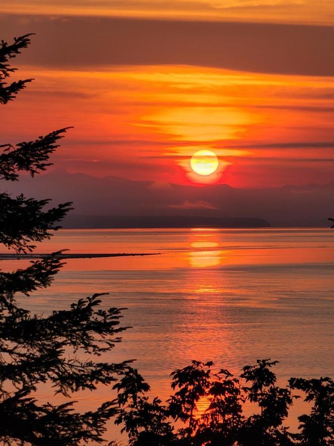 Ocean'S Edge Suite Campbell River Esterno foto