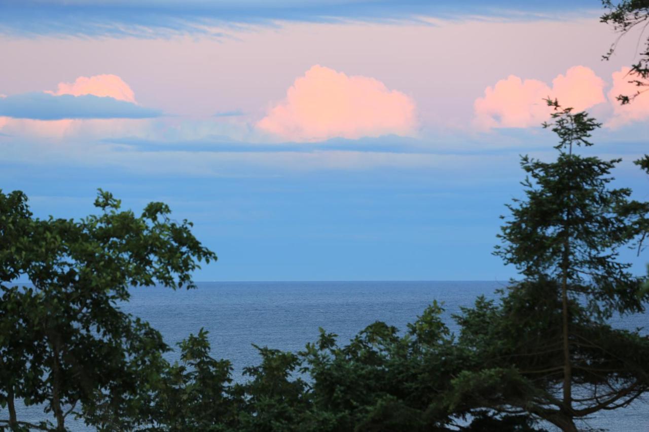 Ocean'S Edge Suite Campbell River Esterno foto